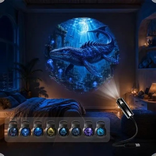 Dinosaur projection night - projection,