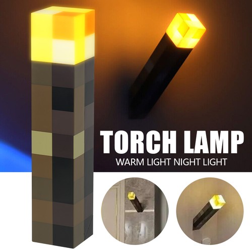 Kids minecraft game - kids, torch