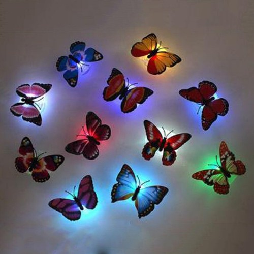 Colour change butterfly - 3,